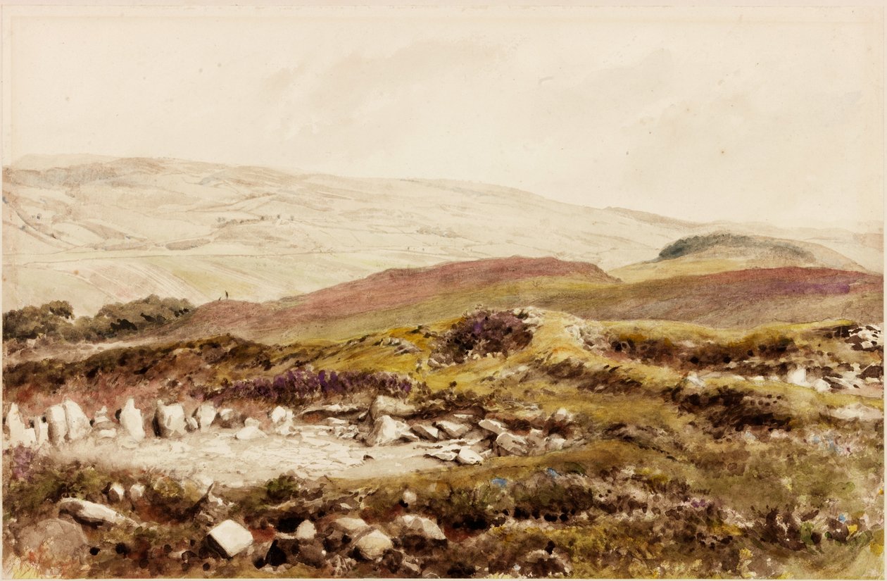 Bremenium (Rochester) (kroppsfarge) av Henry Burdon Richardson
