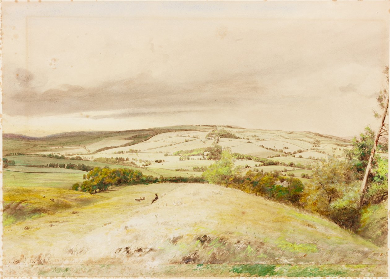 Brunton Bank (kroppsfarge) av Henry Burdon Richardson