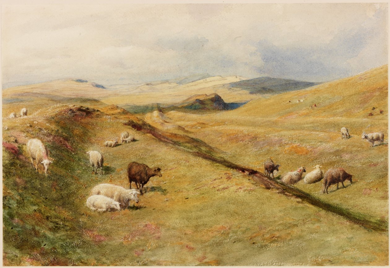 Castle Nick (kroppsfarge) av Henry Burdon Richardson