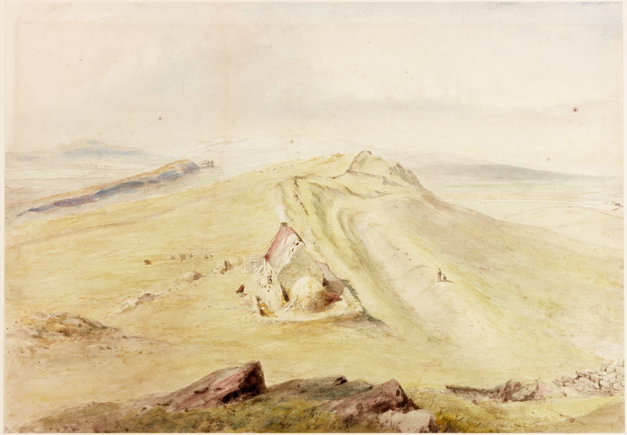 Caw-Gap (kroppsfarge) av Henry Burdon Richardson