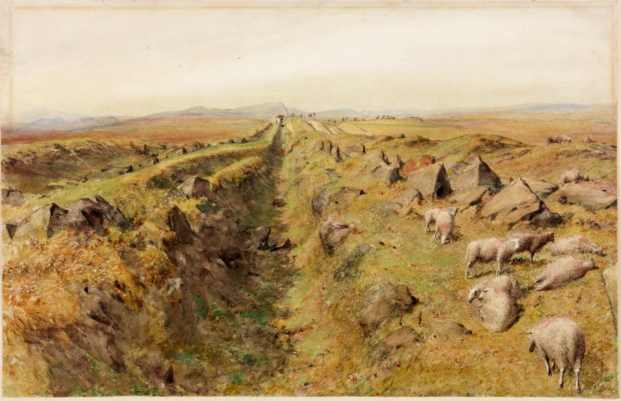 Kalksteinsbank (kroppsfarge) av Henry Burdon Richardson