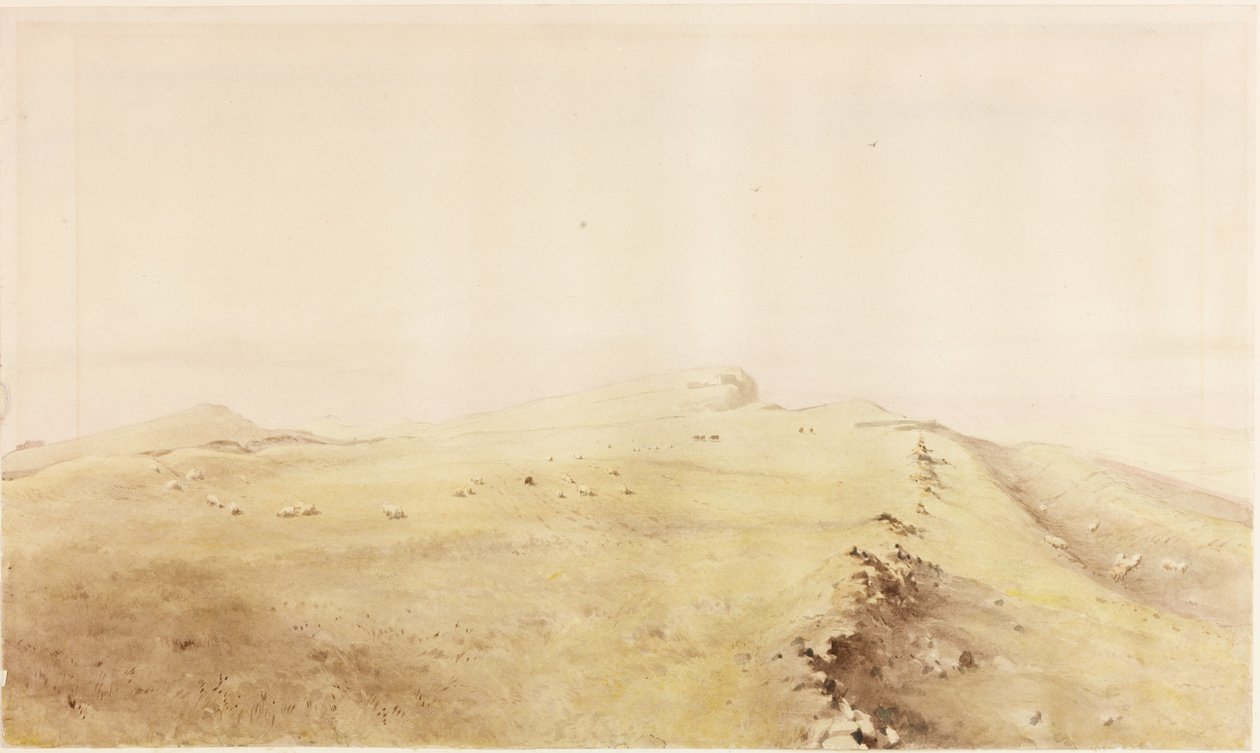 Syskjold (blyant og akvarell på papir (limt på kort)) av Henry Burdon Richardson