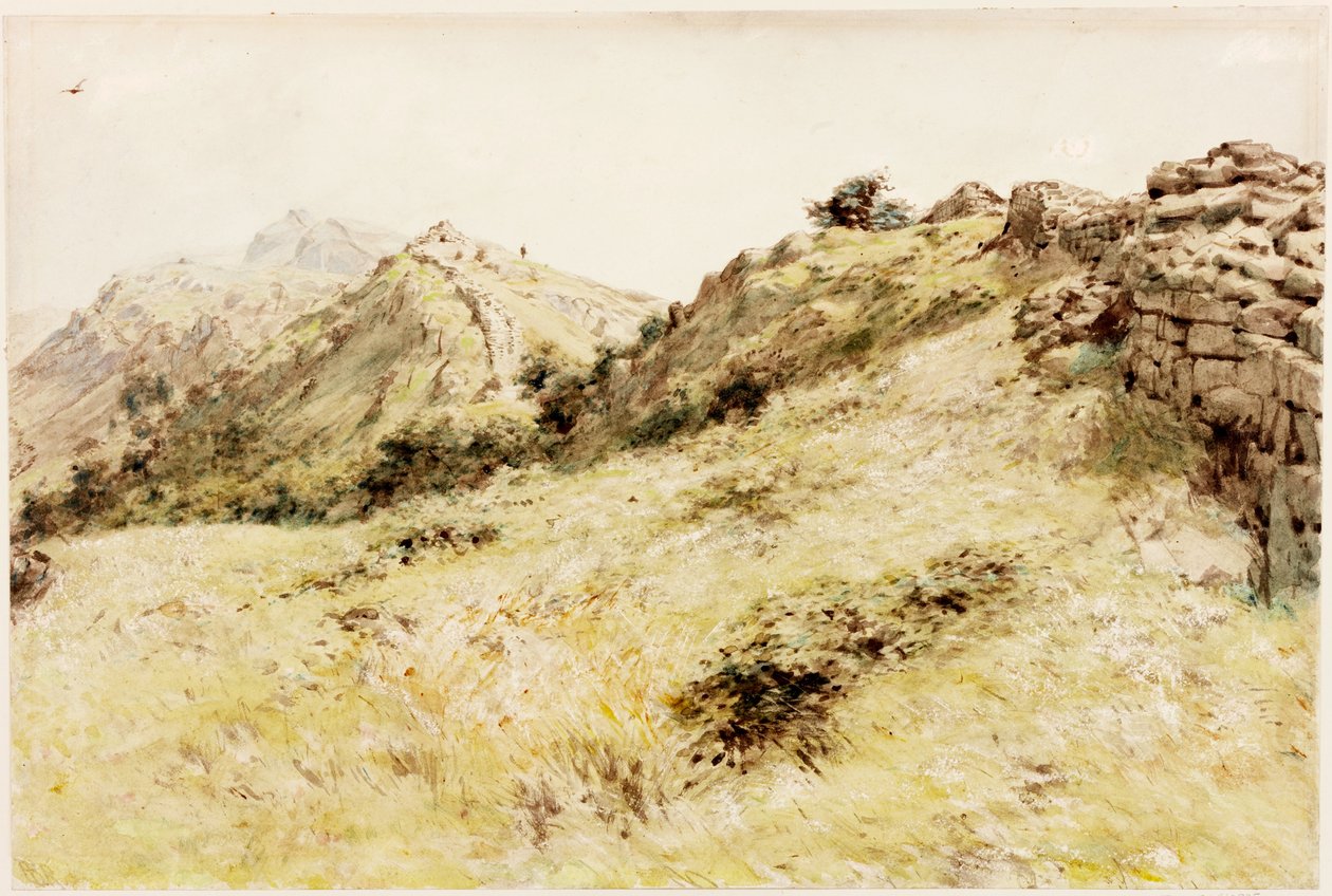 Thirlwall (kroppsfarge) av Henry Burdon Richardson