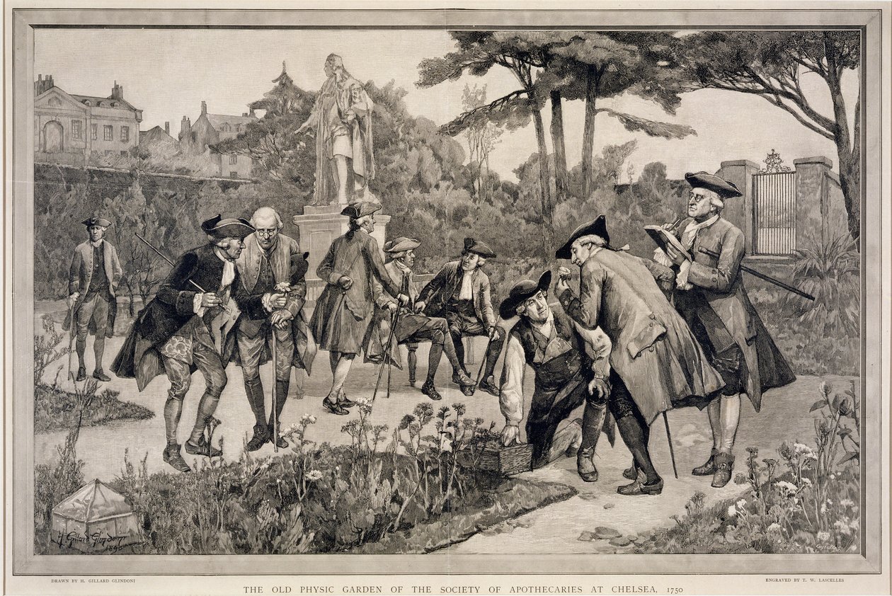 The Old Physic Garden of Society of Apotecaries at Chelsea, 1750, gravert av Thomas W. Lascelles (fl.c.1885), 1890 av Henry Gillard Glindoni