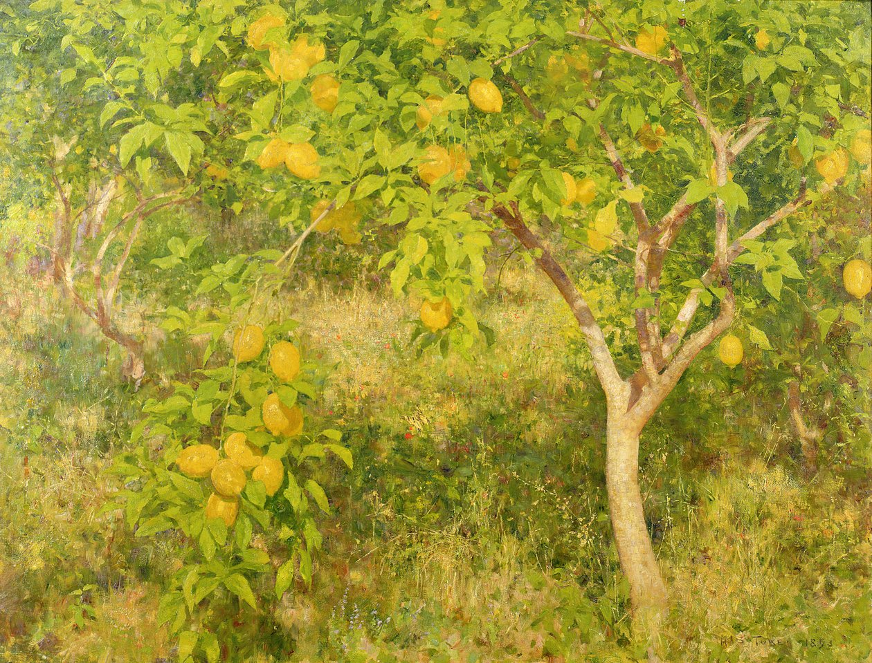 Sitrontreet, 1893 av Henry Scott Tuke