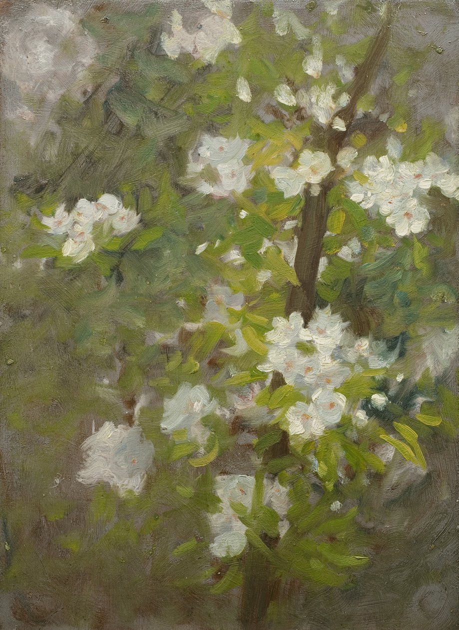 Hvit blomst av Henry Scott Tuke