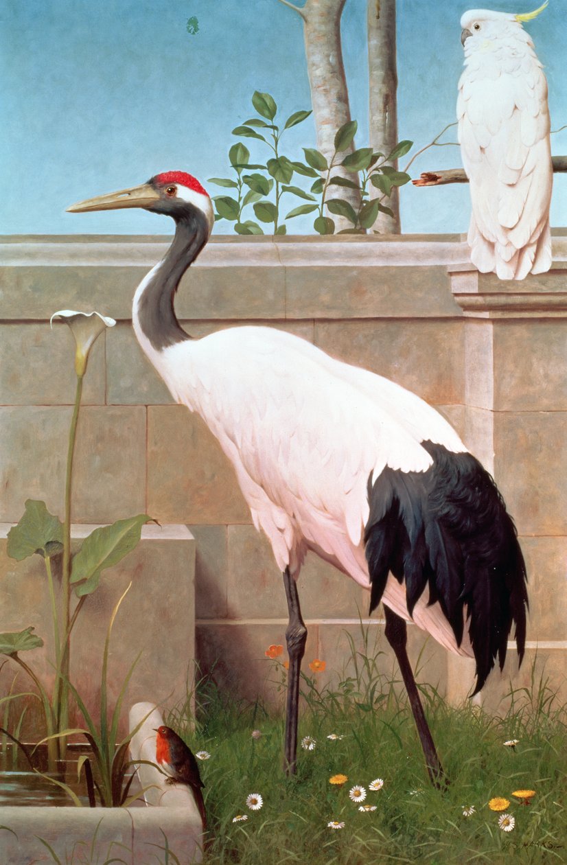 Manchurian Crane, Cockatoo og Robin av Henry Stacey Marks