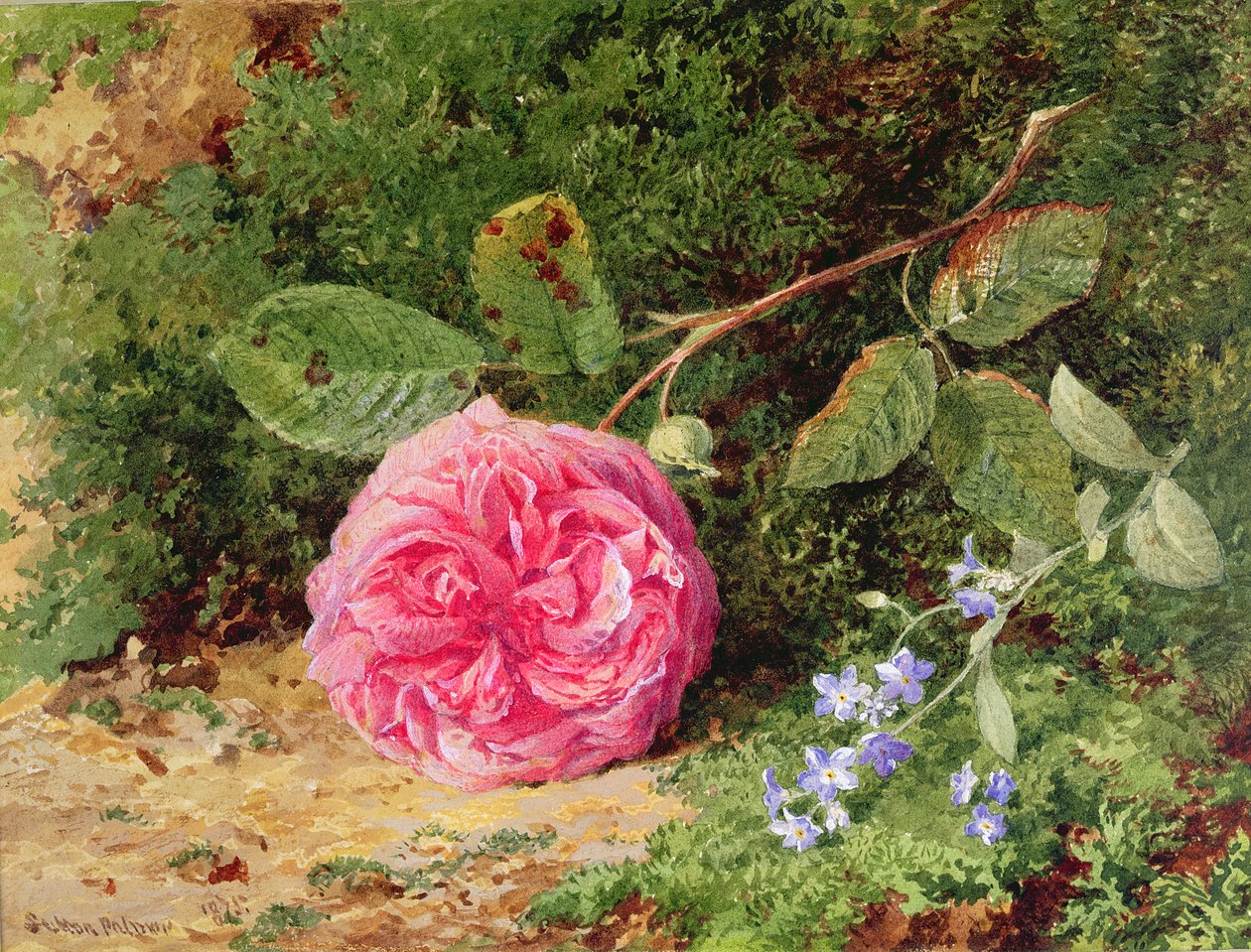 Rosa rose på en mosegrodd bank, 1875 av Henry Sutton Palmer