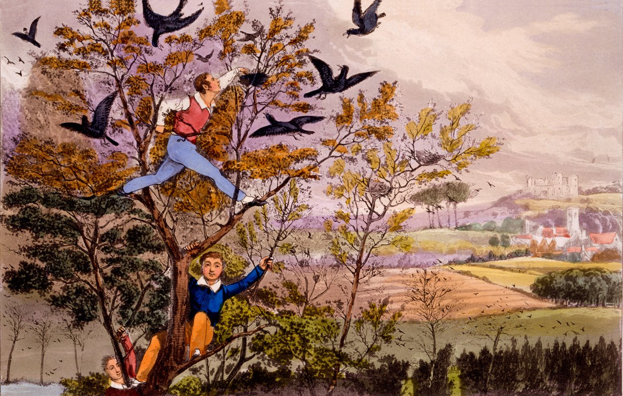 Raidere Rook's Nest av Henry Thomas Alken