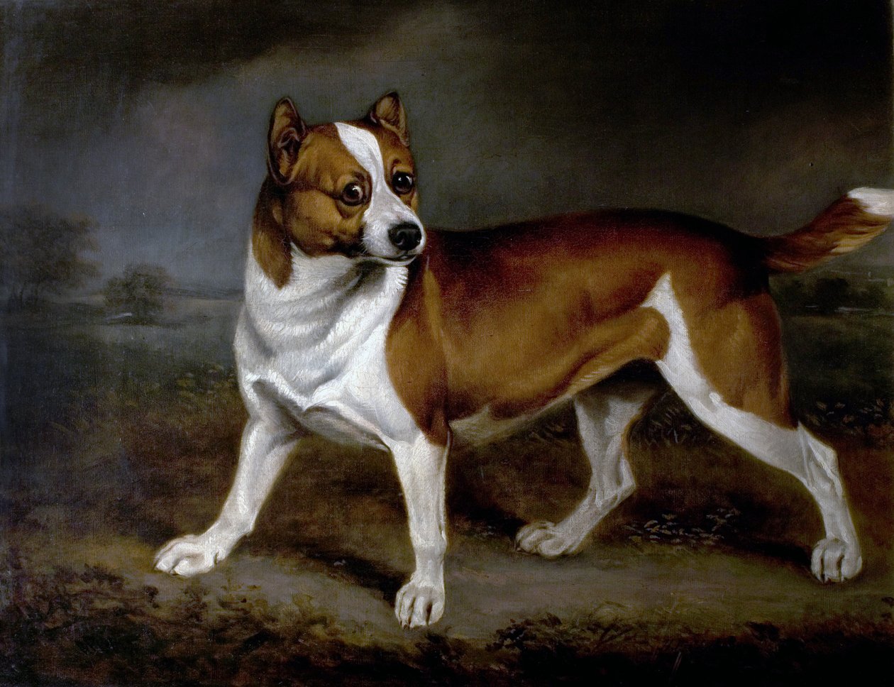 Brennesle, 1812 av Henry Bernard Chalon