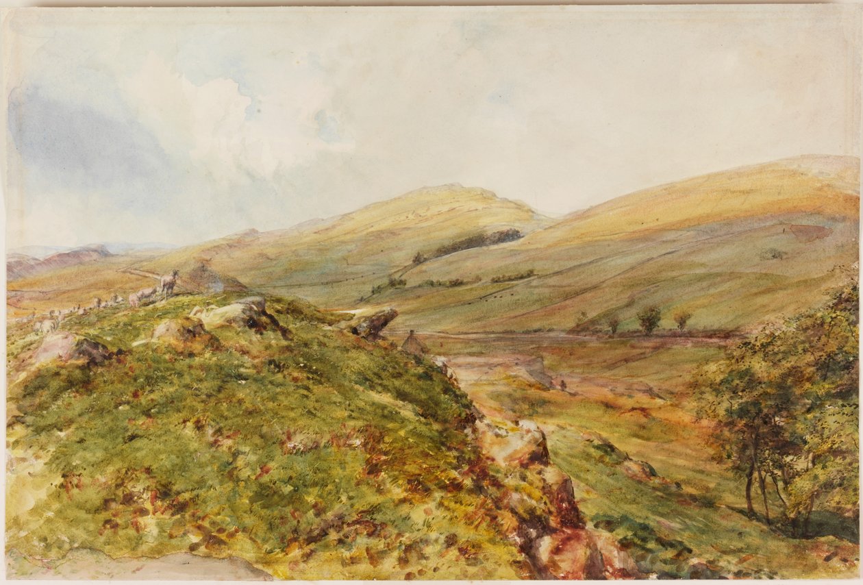Cockmount Hill (kroppsfarge) av Henry Burdon Richardson