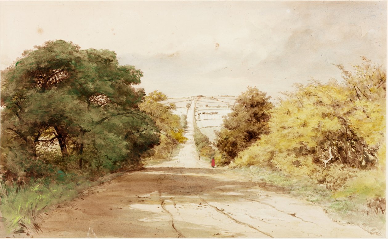 Harlow Hill (kroppsfarge) av Henry Burdon Richardson