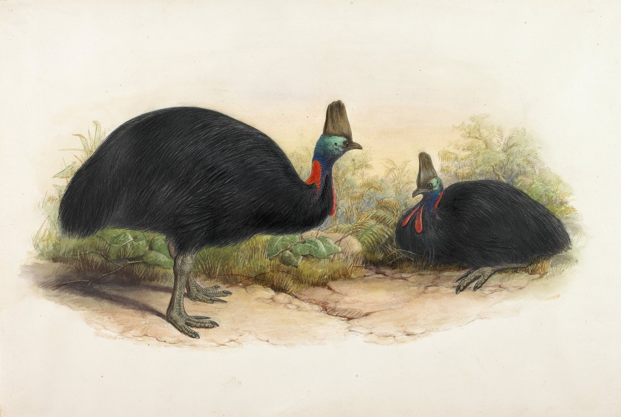  av Henry Constantine Richter