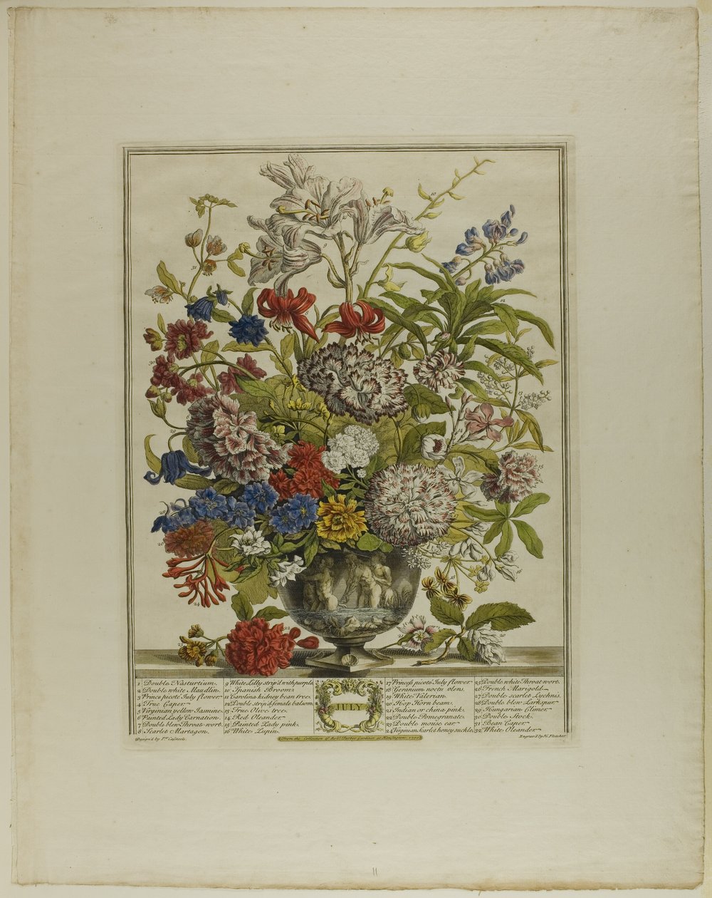 juli, fra Tolv måneder med blomster av Henry Fletcher