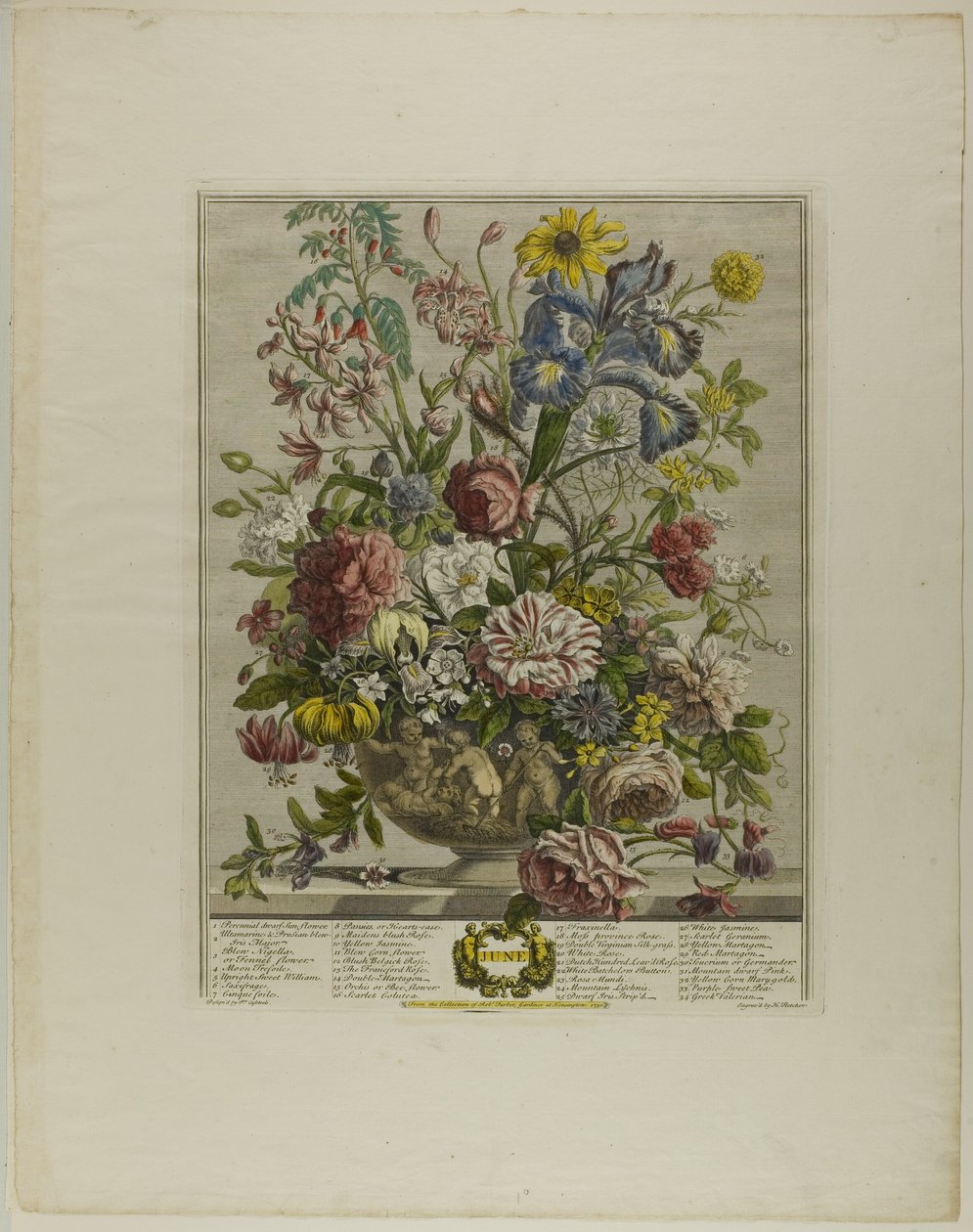 juni, fra Tolv måneder med blomster av Henry Fletcher