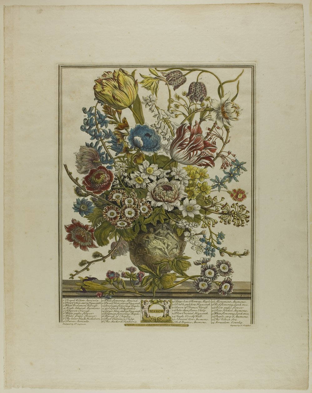 mars, fra Twelve Months of Flowers av Henry Fletcher