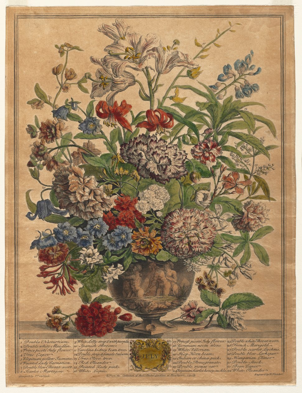 Tolv måneder med blomster: juli 1730. av Henry Fletcher