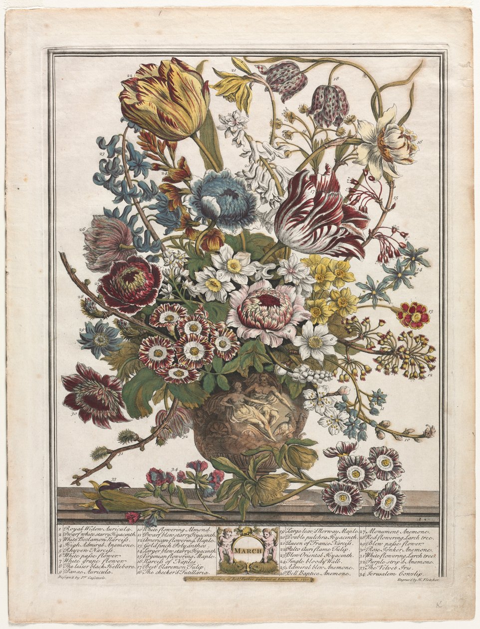 Tolv måneder med blomster: mars 1730. av Henry Fletcher