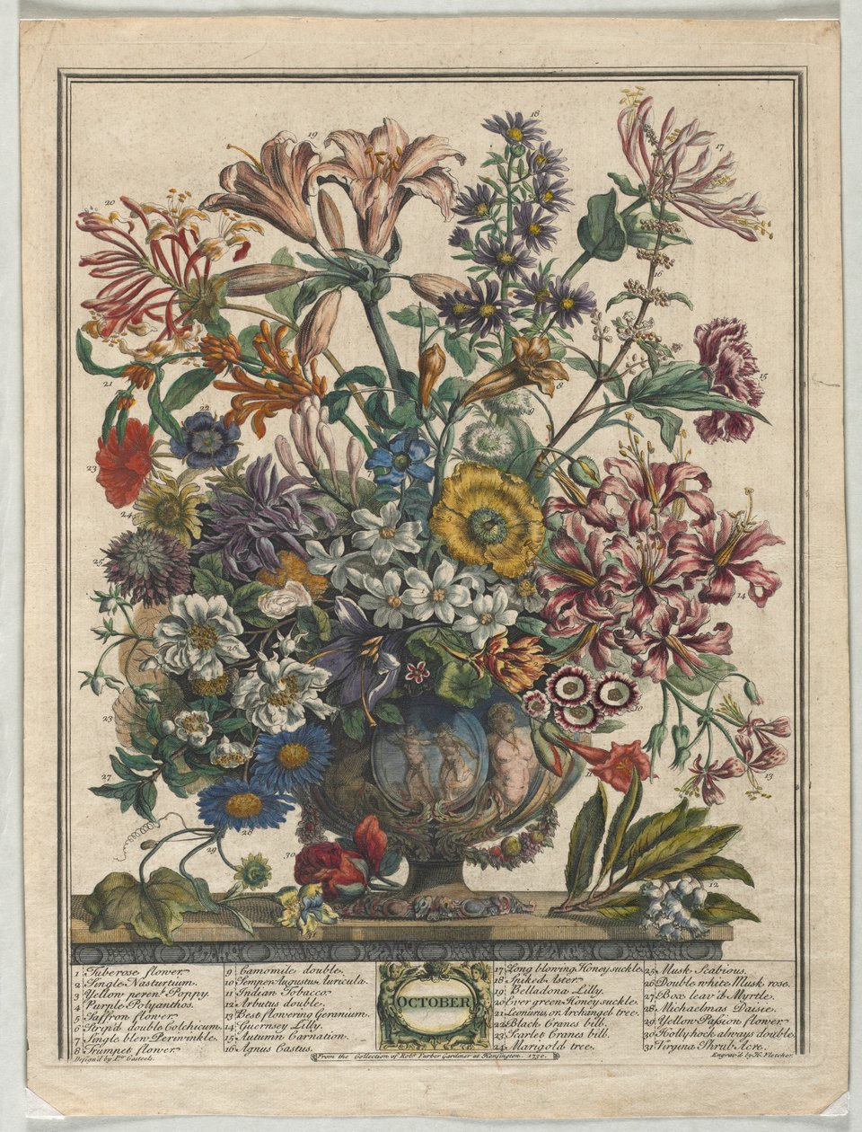 Tolv måneder med blomster: oktober 1730. av Henry Fletcher