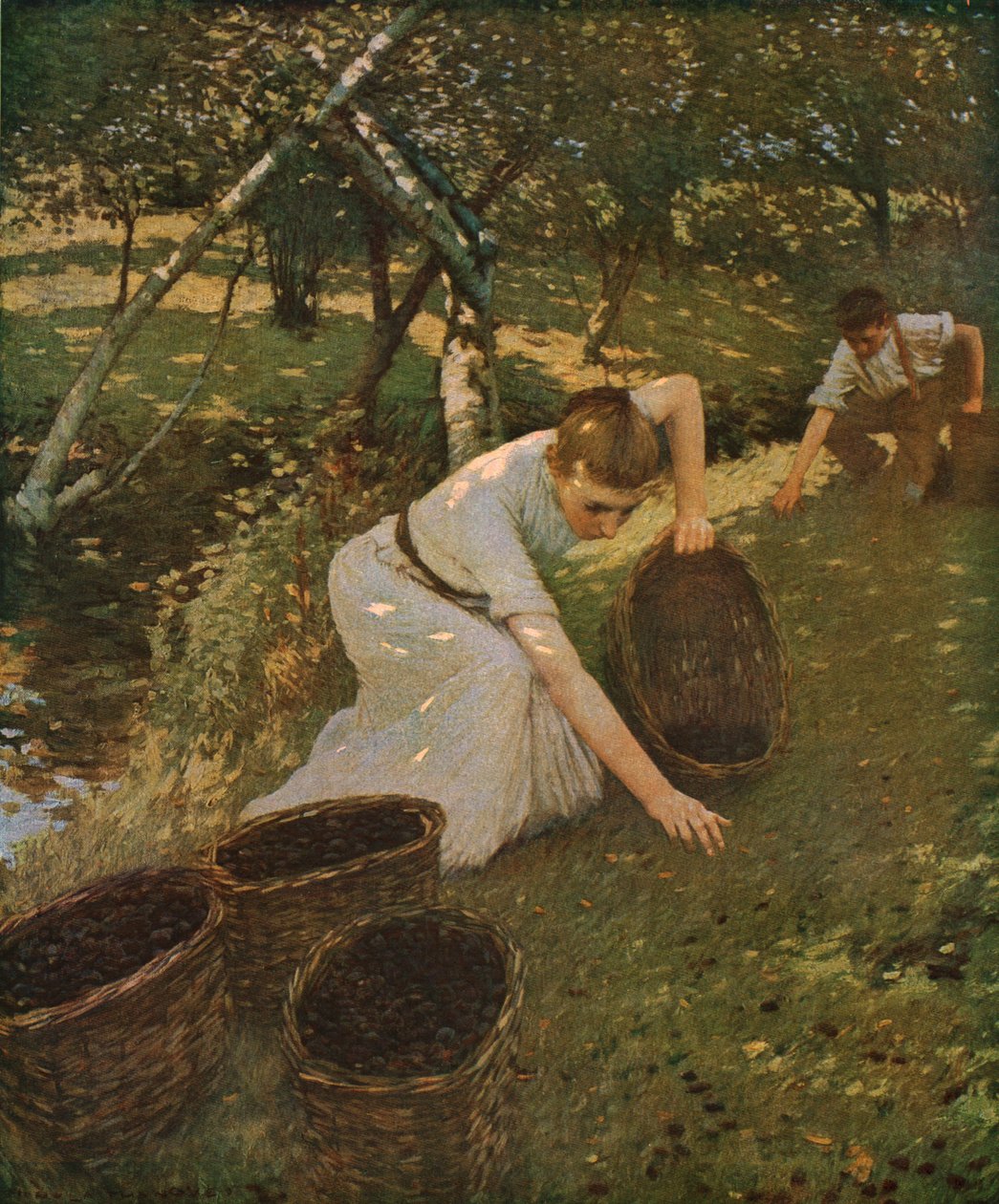 Samler plommer, 1901, c1930. av Henry Herbert La Thangue