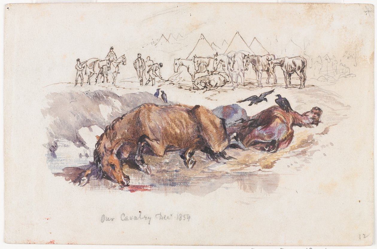Vårt kavaleri, døde hester av Henry John Wilkinson