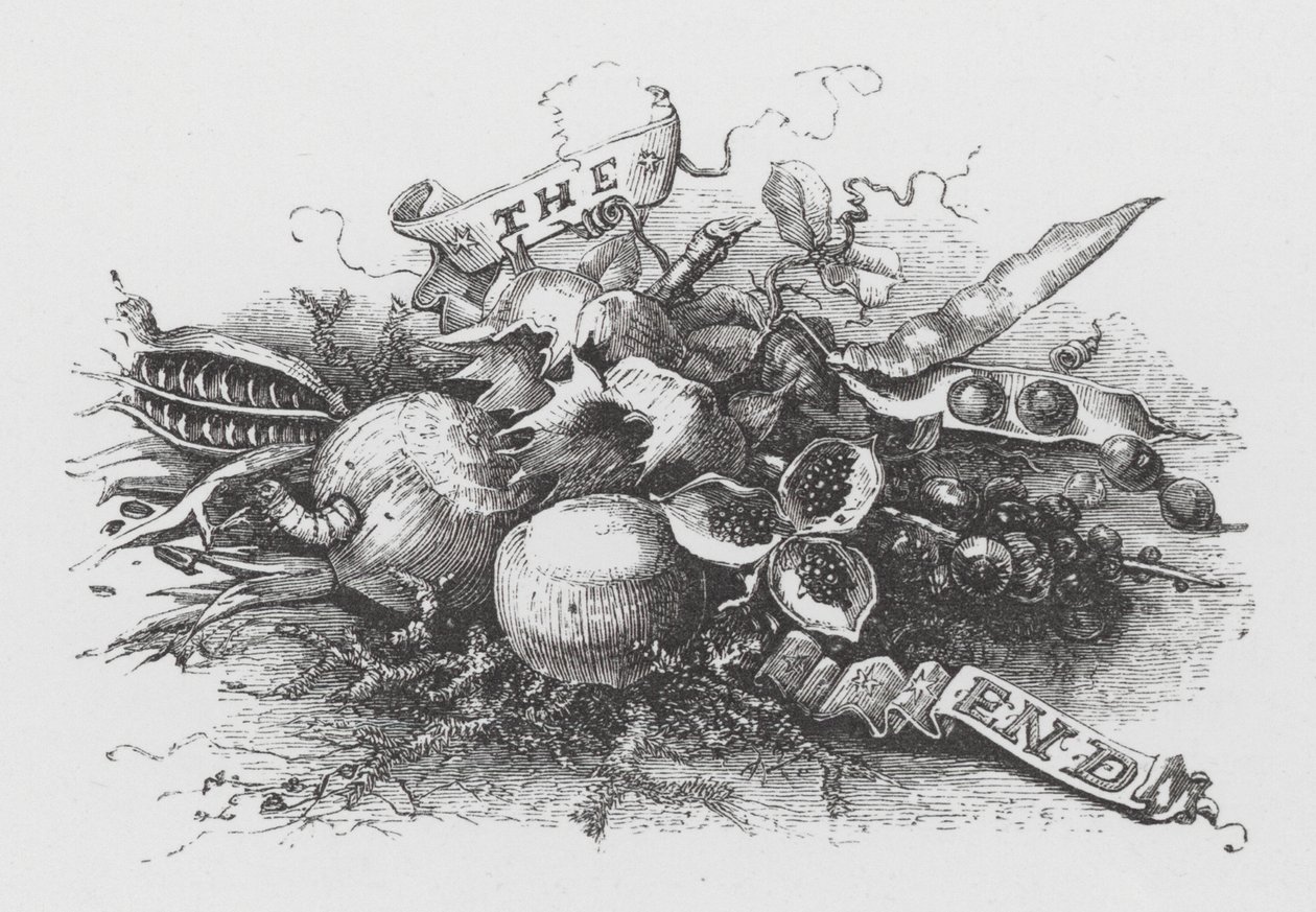 The End (gravering) av Henry Noel Humphreys