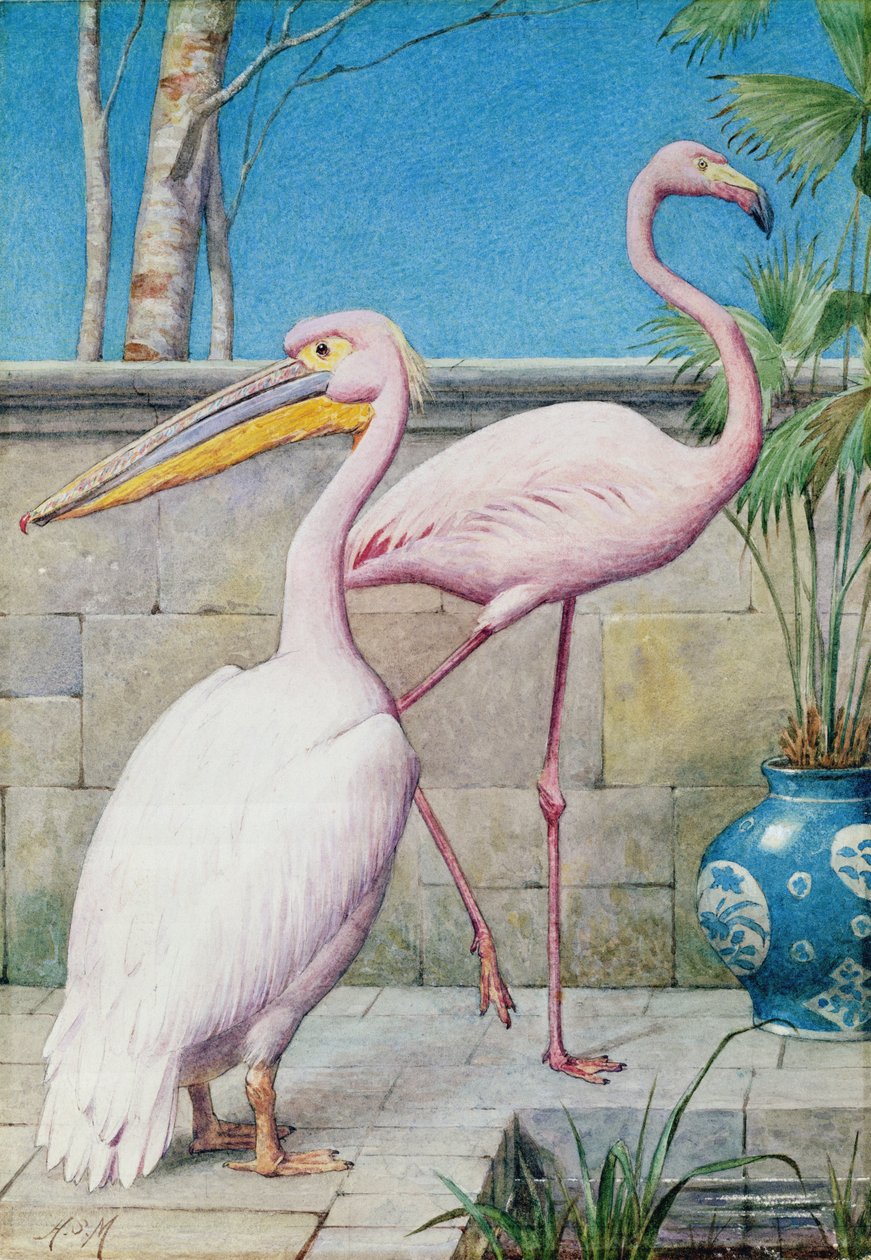 Pelican og Flamingo (wc) av Henry Stacey Marks