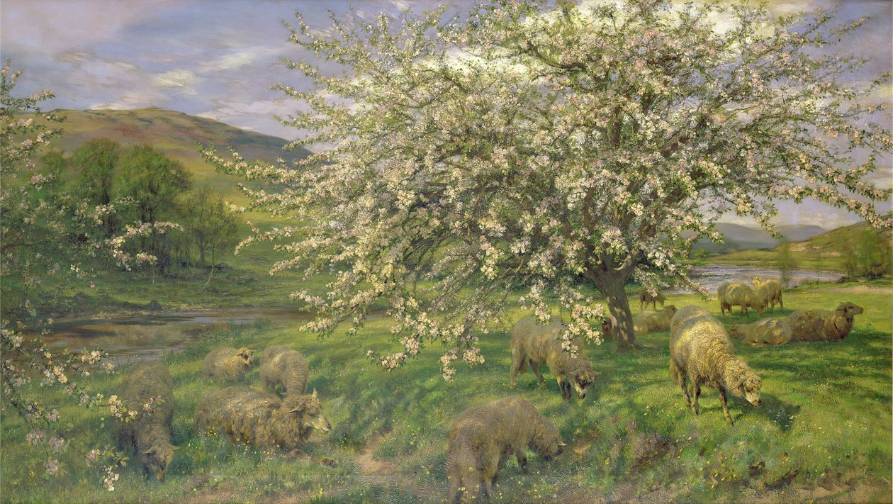 Ukjent bilde av Henry William Banks Davis