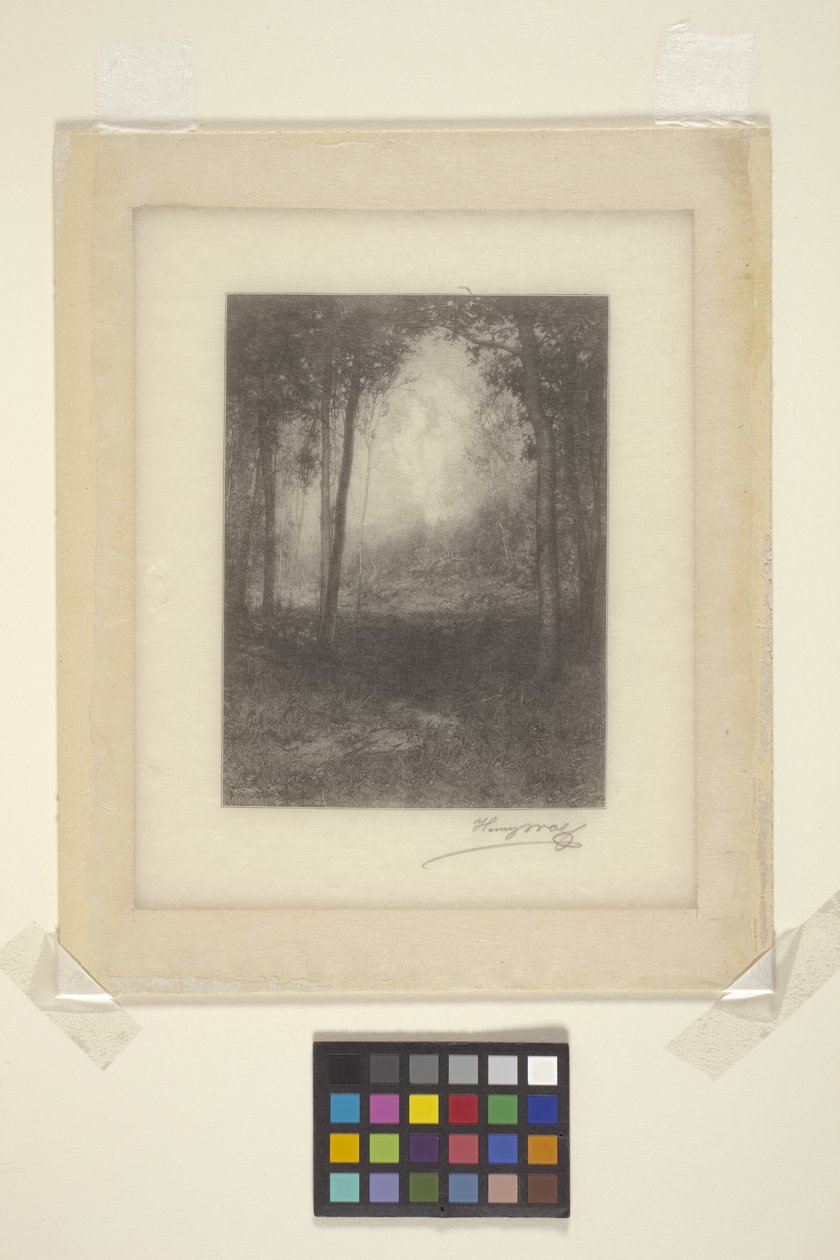 In The Adirondacks (blekk) av Henry Wolf