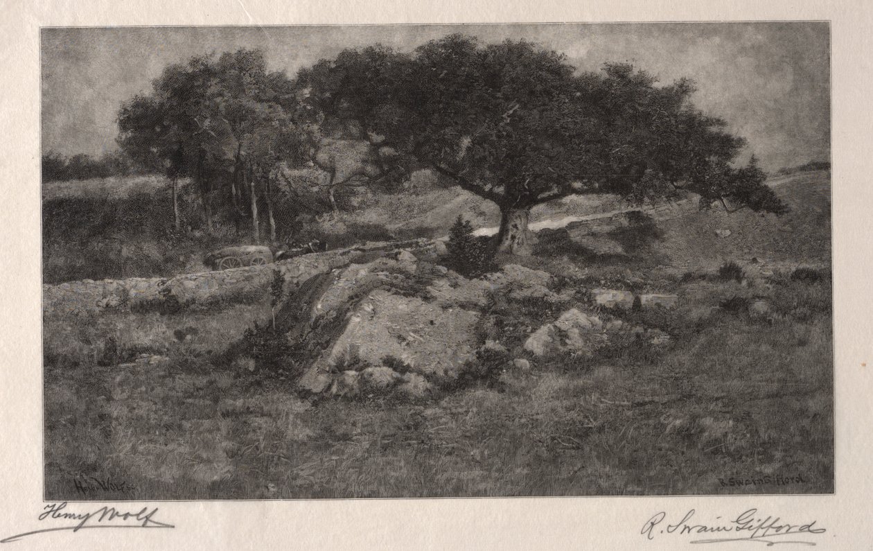 Veikanten. av Henry Wolf