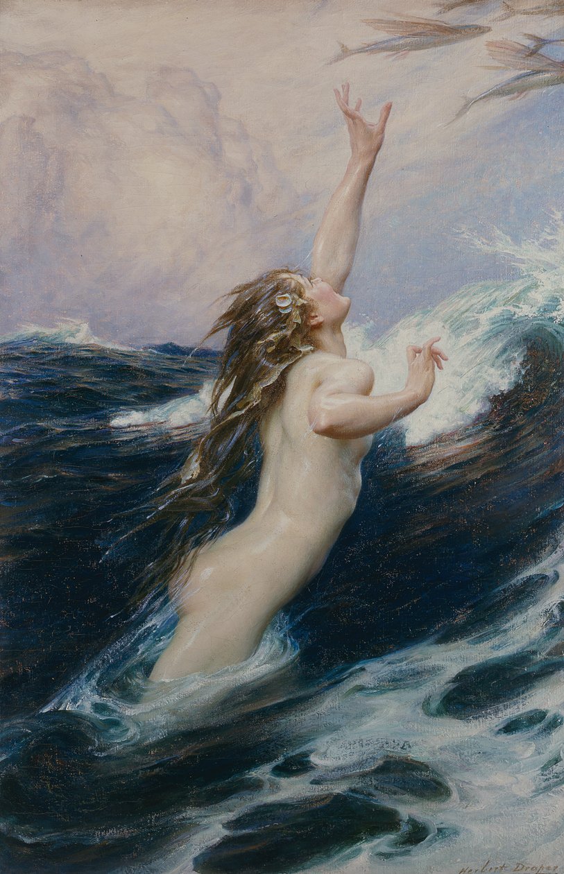 Flying Fish, 1910 av Herbert James Draper