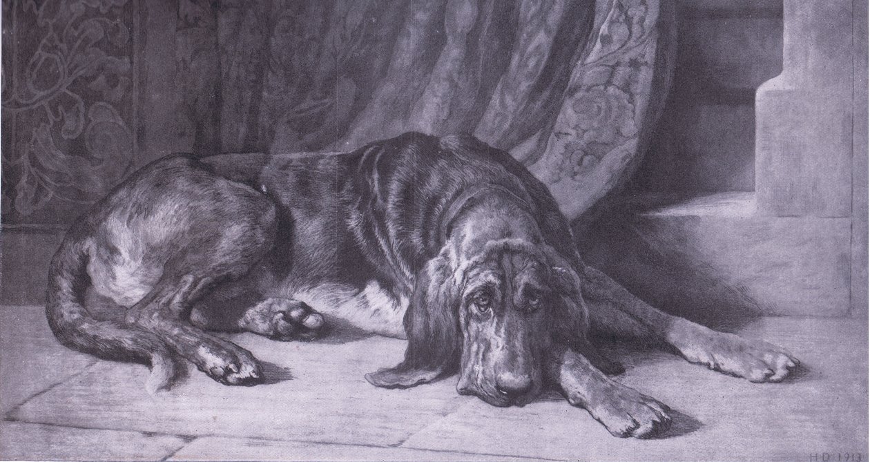 The Sentinel, Bibby