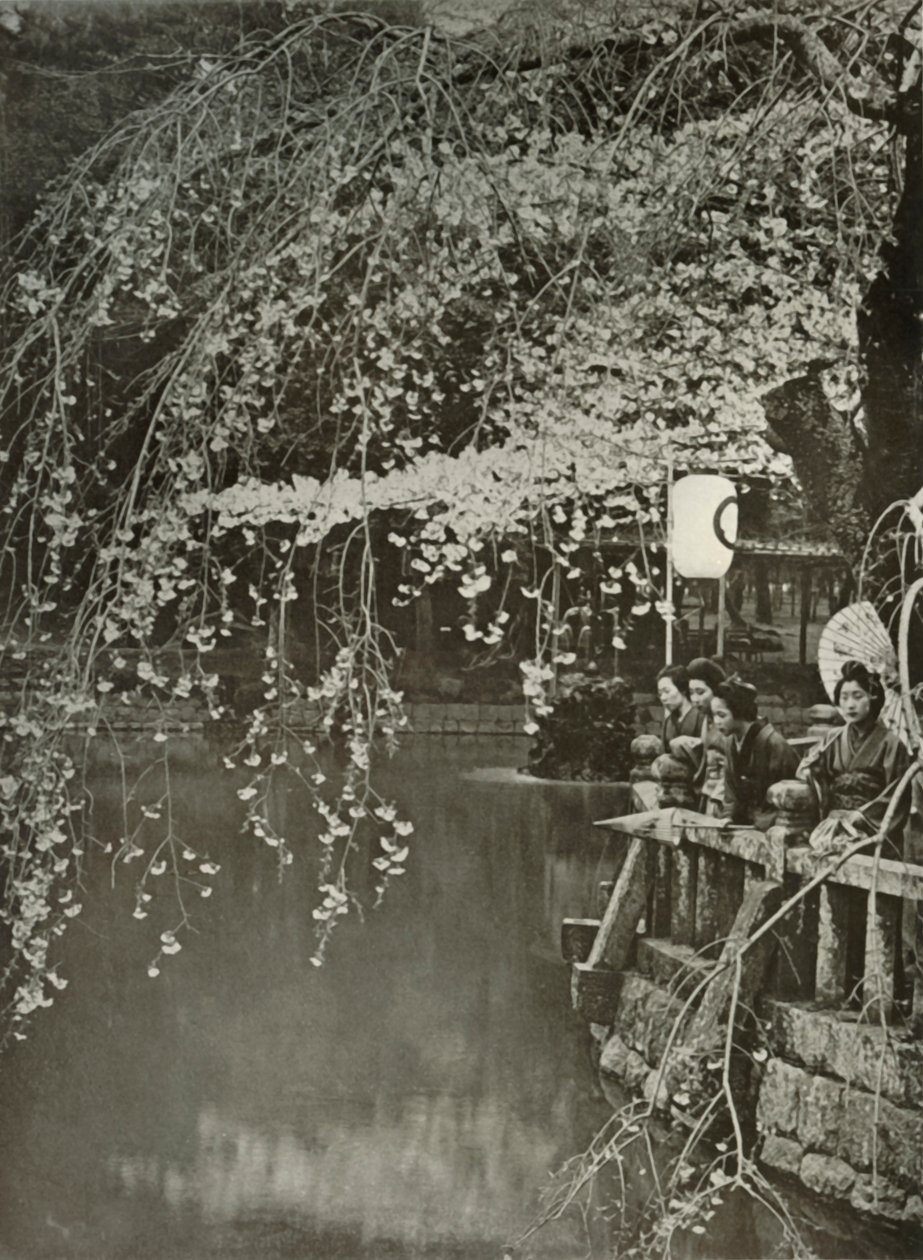Kirsebærblomstringstid i Japan, 1910. av Herbert Ponting