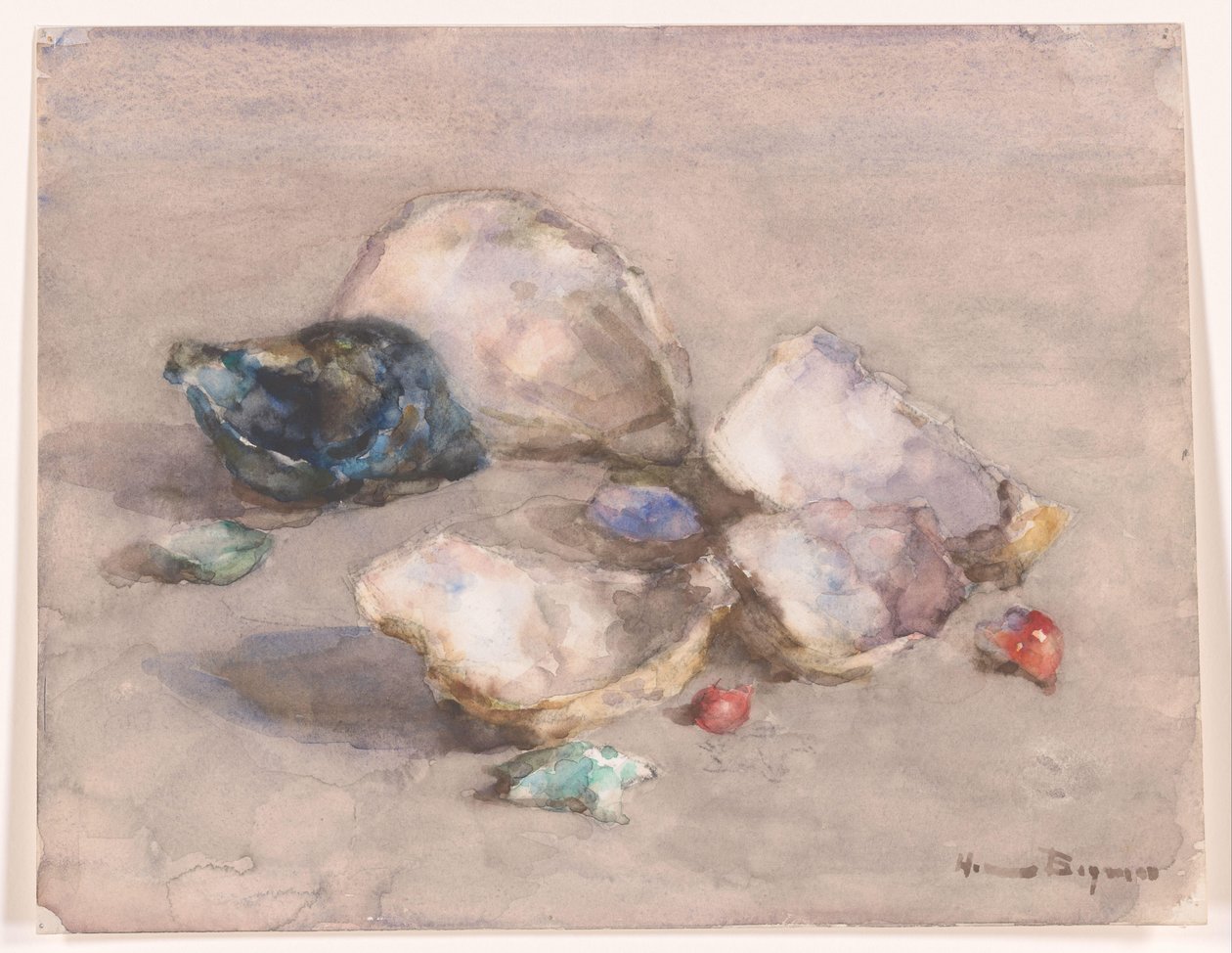Skjell på stranden av Herman Bogman (signed by artist)