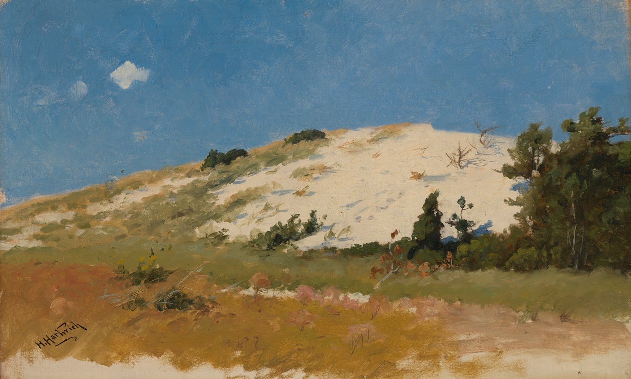 Cape Cod, sanddyne, 1894. av Herman Hartwich