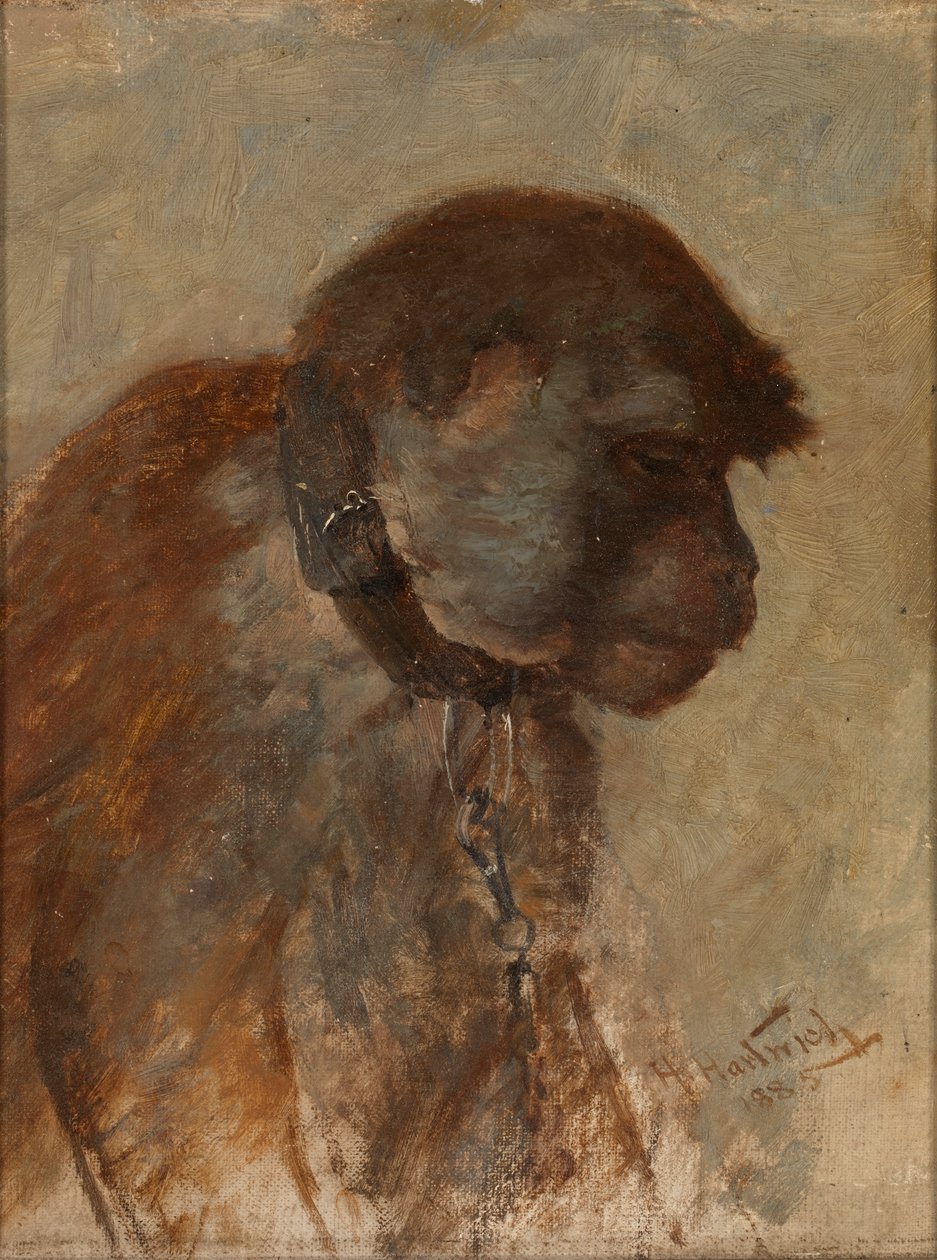 Meditasjon, 1885. av Herman Hartwich