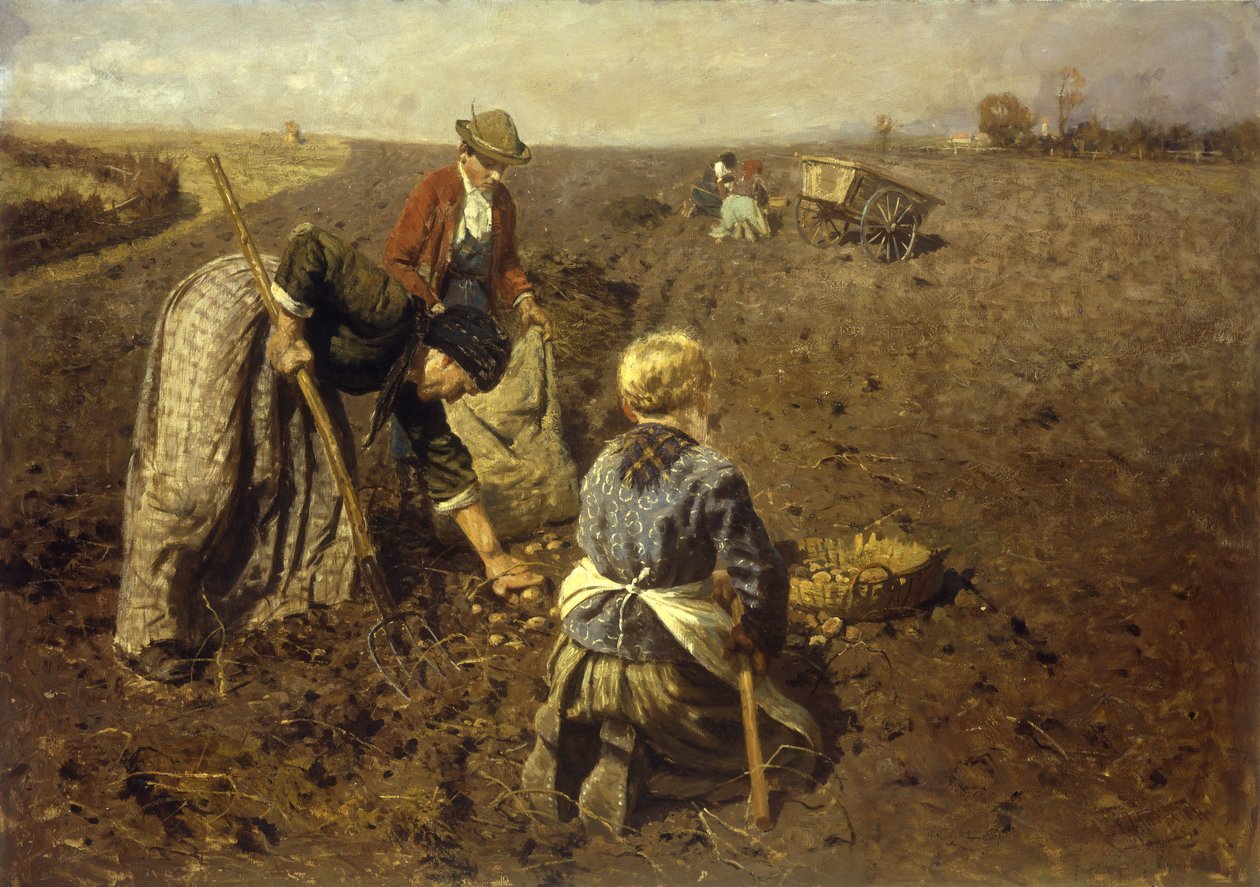 Potethøsten av Herman Hartwich