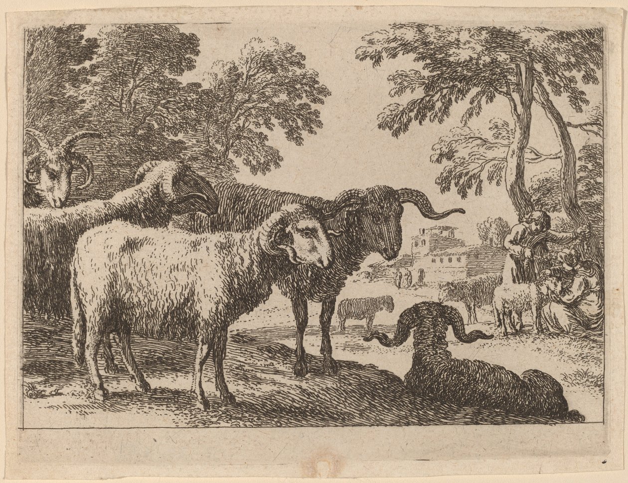Rams av Herman van Swanevelt