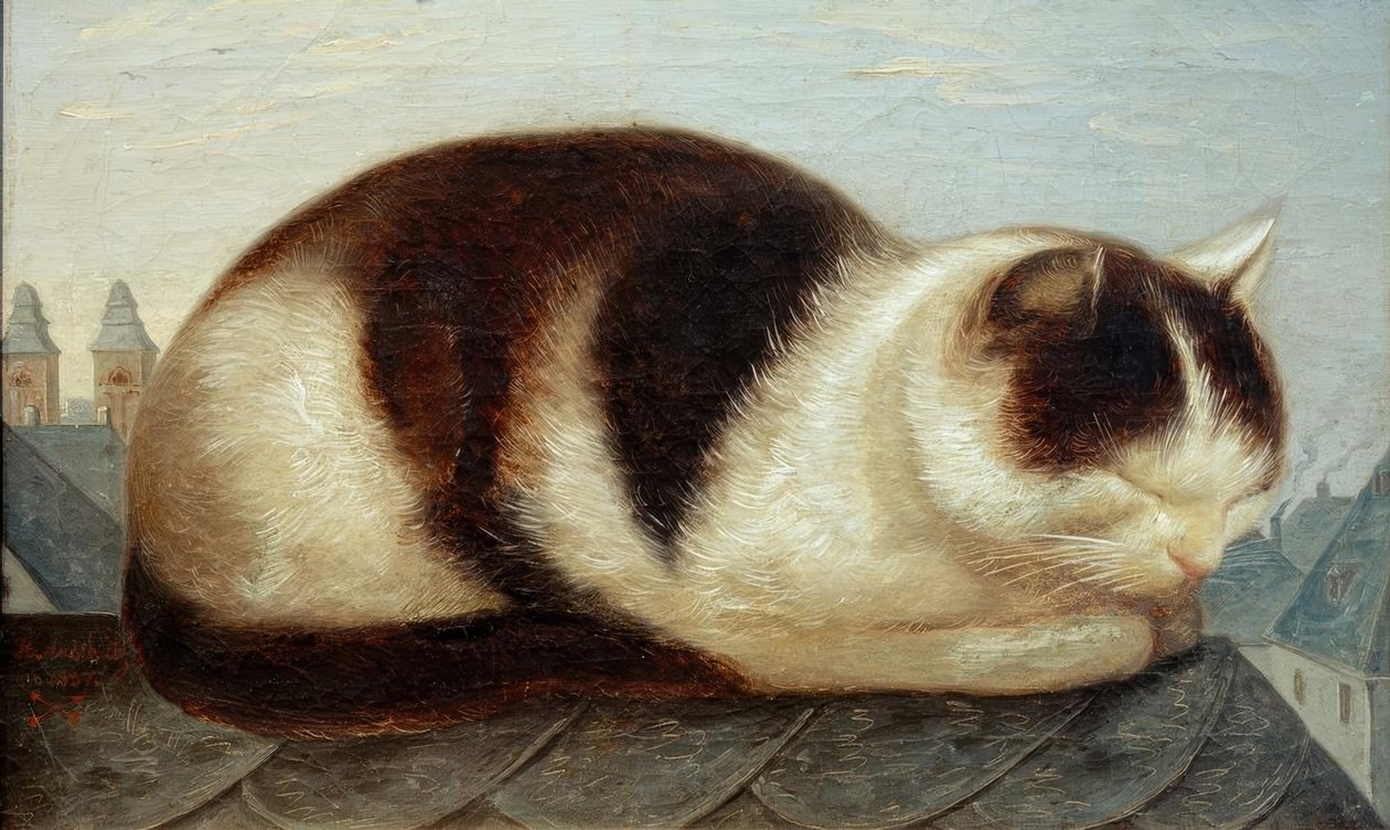 katt av Hermann Anschütz