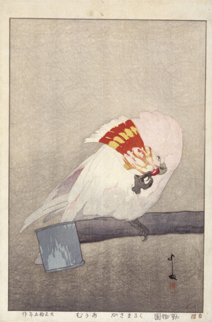 Cockatoo On Feeder (farget treblokktrykk) av Hiroshi Yoshida