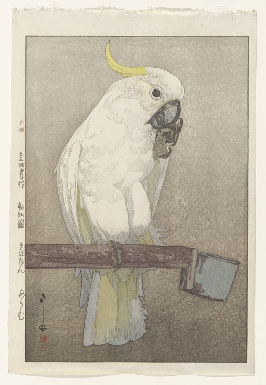 Sulphur-crested Cockatoo   1405623   no       norwegian Successfully Translated  Original: The Death of Prince Ludwig of Prussia at the Battle of Saalfeld, 10 October 1806. Translat: 