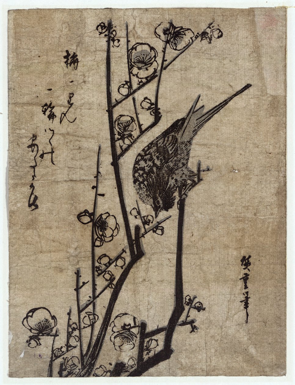 Ume ni Uguisu (Plum Blossom and Bush Warbler) av Utagawa Hiroshige