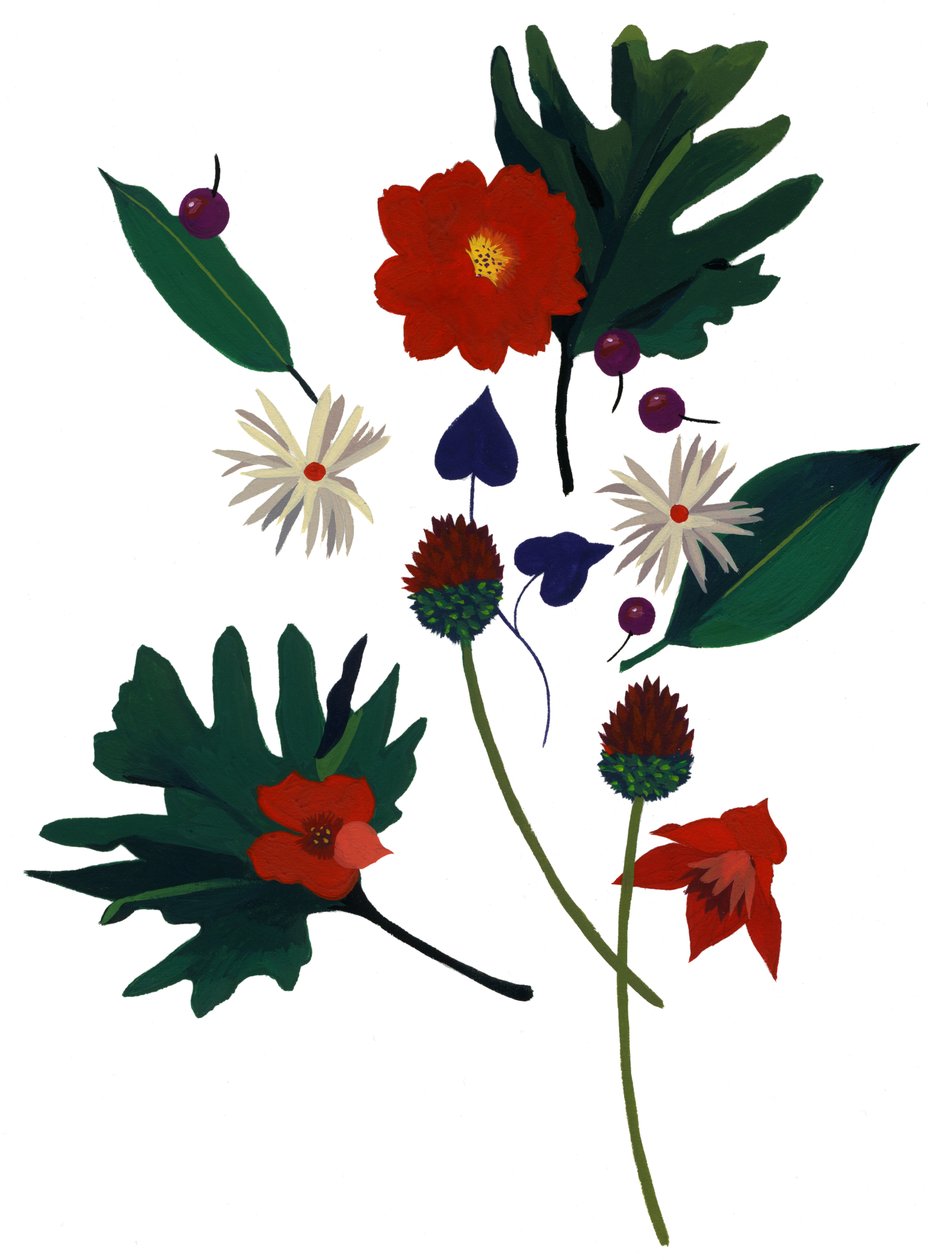 En blomst som får deg til å forestille deg julen. av Hiroyuki Izutsu