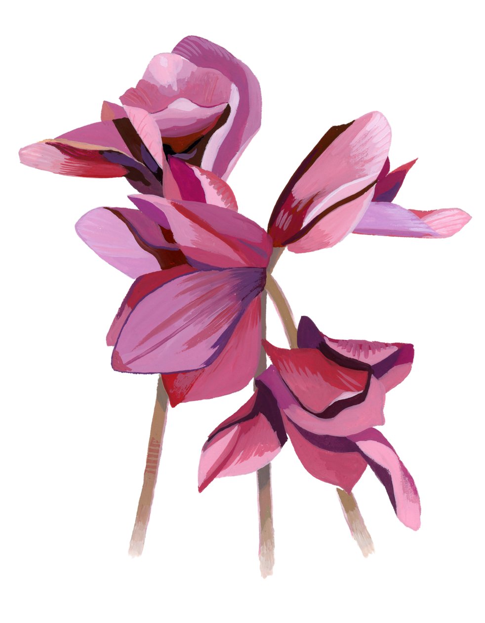 Cyclamen av Hiroyuki Izutsu