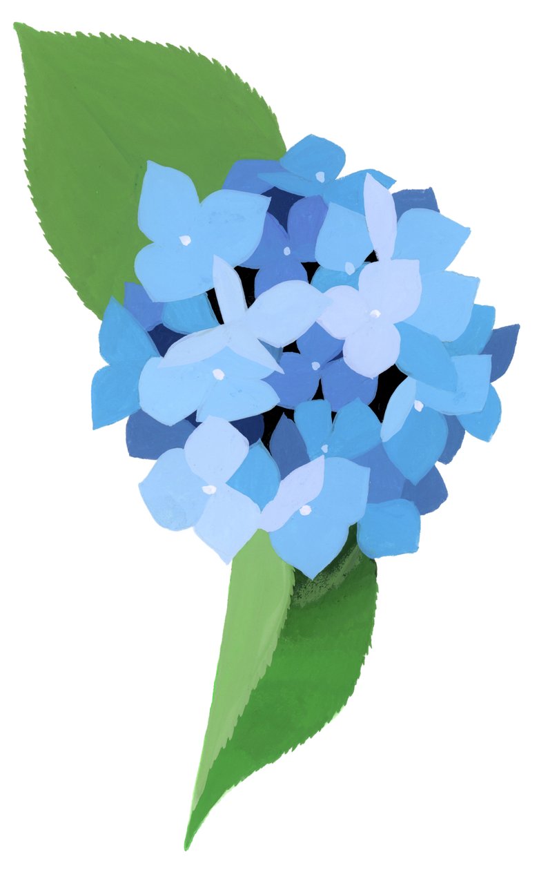 hortensia av Hiroyuki Izutsu