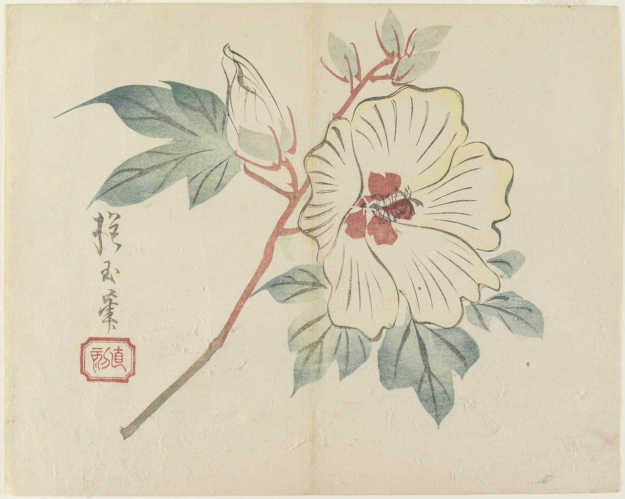 (Stor hvit blomst), ca. 1830 av Hogyoku