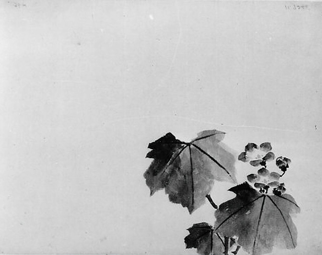 Klokkeblomst, 1800-tallet. av Hokusai School.