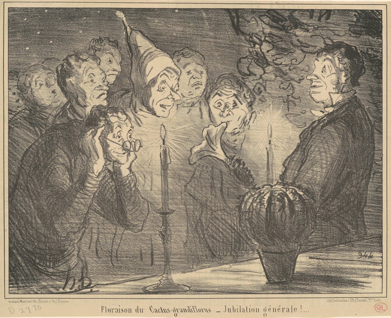 Blomstring av Cactus-grandiflorus... av Honoré Daumier