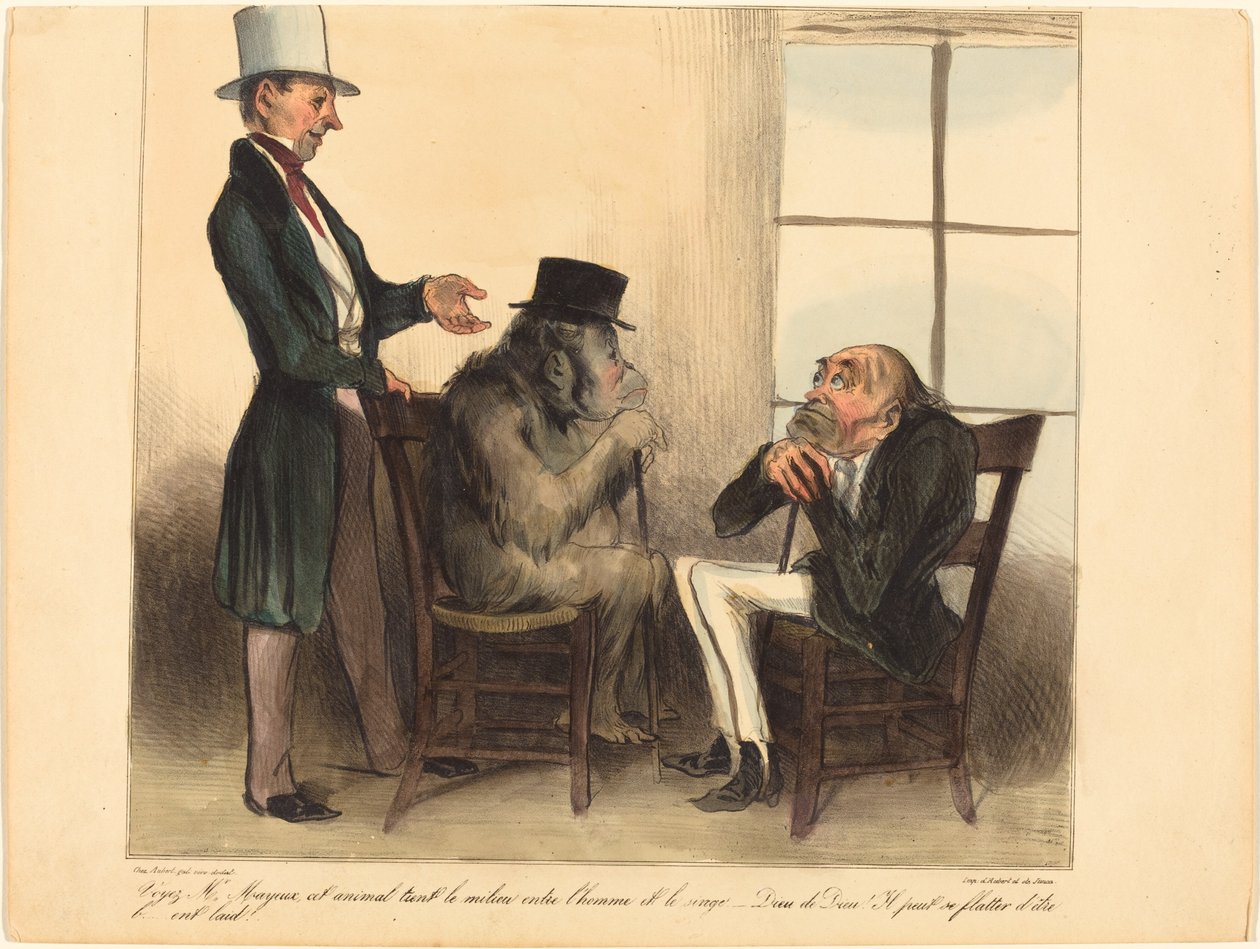 Se, Mr. Mayeux, dette dyret... av Honoré Daumier