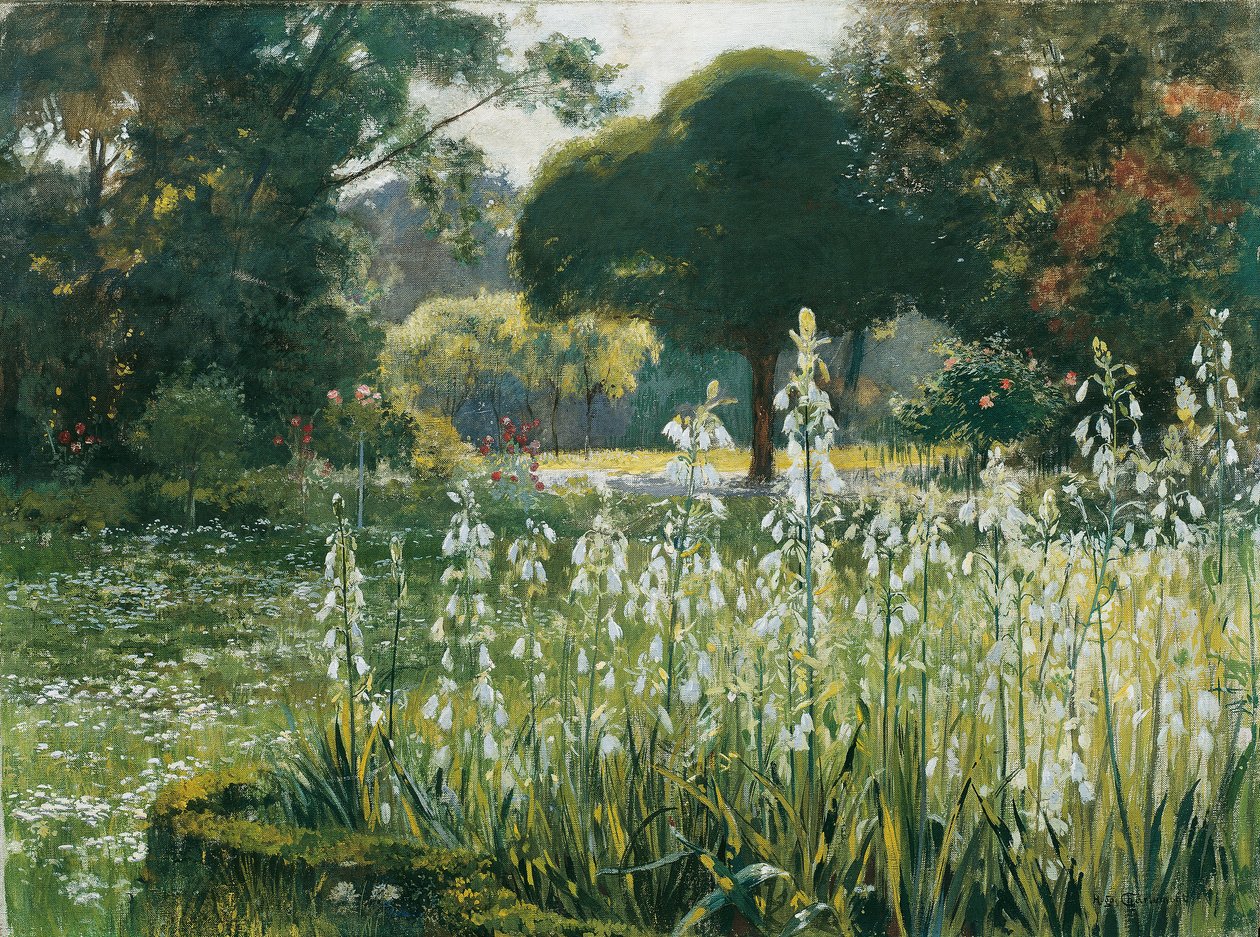 Sommerhyasinter (Galtonia) av Hugo Charlemont